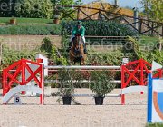 GOVONI WINN WINN CampITA2013- S5 8998 : Campionati Italiani 2013, Cattolica, GOVONI GIANNI, Horse Riviera Resort, WINN WINN, foto di Stefano Secchi ©